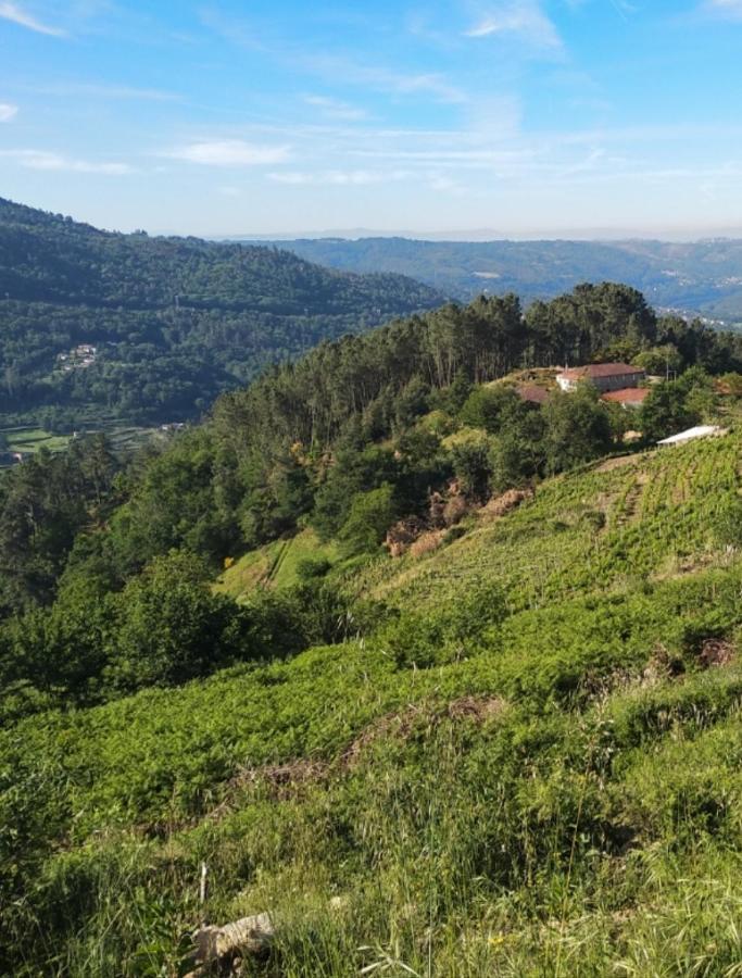 Casa Do Cuco, Ribeira Sacra Villa Ourense Eksteriør bilde